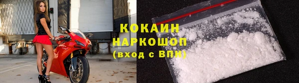 шишки Михайловск