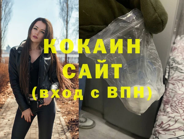 шишки Михайловск
