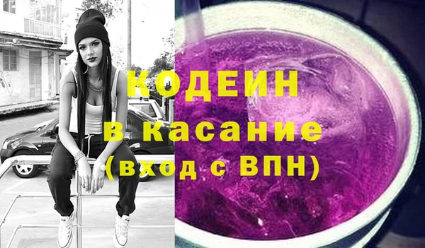 шишки Михайловск