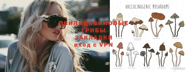 мяу мяу мука Михайлов