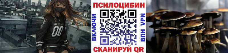 Купить где  Луховицы  Галлюциногенные грибы Magic Shrooms 