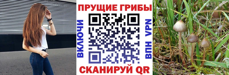 Псилоцибиновые грибы ЛСД Луховицы